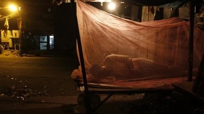 In total over 627,000 people globally were killed by malaria last year (Representational Image / AP) In total over 627,000 people globally were killed by malaria last year (Representational Image / AP)