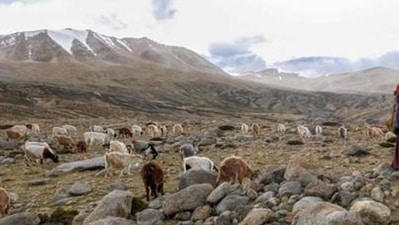 In a written reply to the question, Pramanik said, "128 infiltrations reported along Pakistan border, 1787 along Bangladesh border, 25 along Nepal border, 133 along Myanmar border while nil at China and Bhutan border." (AFP/Representative Photo) In a written reply to the question, Pramanik said, "128 infiltrations reported along Pakistan border, 1787 along Bangladesh border, 25 along Nepal border, 133 along Myanmar border while nil at China and Bhutan border." (AFP/Representative Photo)
