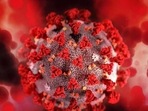 The new coronavirus variant Omicron has emerged in some countries, leading to concerns worldwide. (REPRESENTATIVE IMAGE ) The new coronavirus variant Omicron has emerged in some countries, leading to concerns worldwide. (REPRESENTATIVE IMAGE )