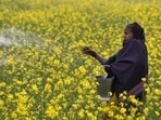 India has been importing urea for decades to meet the shortfall in the supply chain, but there is a need to become self-sufficient in the production and supply of key agriculture inputs like fertilisers. (File Photo / HT) India has been importing urea for decades to meet the shortfall in the supply chain, but there is a need to become self-sufficient in the production and supply of key agriculture inputs like fertilisers. (File Photo / HT)