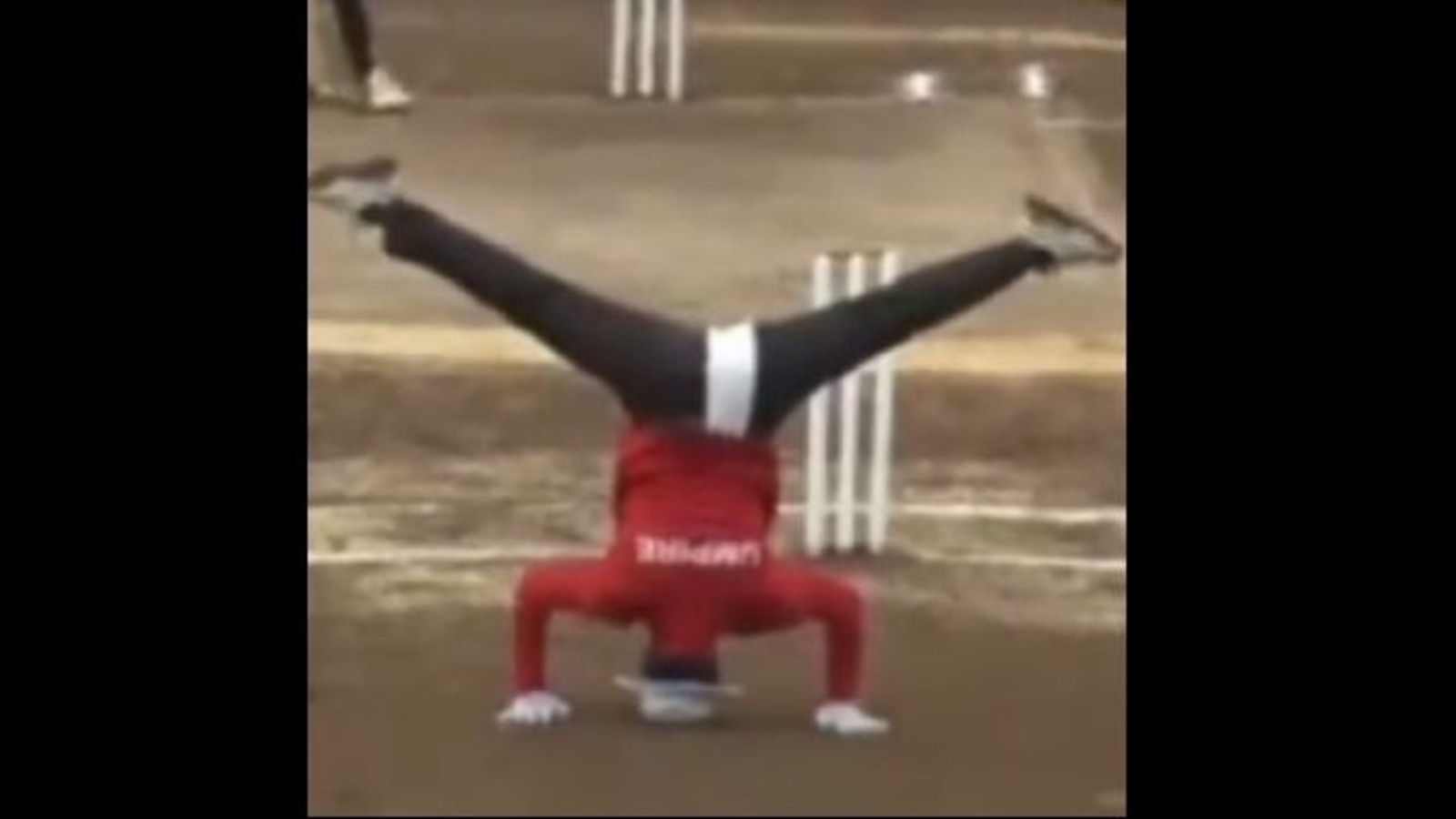 Ball funny cheap videos