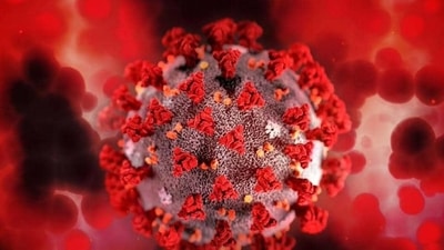 The new coronavirus variant Omicron has emerged in some countries, leading to concerns worldwide. (REPRESENTATIVE IMAGE ) The new coronavirus variant Omicron has emerged in some countries, leading to concerns worldwide. (REPRESENTATIVE IMAGE )