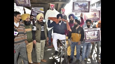 Protesters covering their face with CM Channi mask during the protest demonstration with rickshaw race also a part of protest organized by SAD leaders and workers at Station road in Ludhiana on Wednesday (Gurpreet Singh/HT) Protesters covering their face with CM Channi mask during the protest demonstration with rickshaw race also a part of protest organized by SAD leaders and workers at Station road in Ludhiana on Wednesday (Gurpreet Singh/HT)