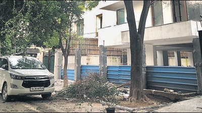 Delhi losing its trees due to lack of census, violation of rules Delhi losing its trees due to lack of census, violation of rules