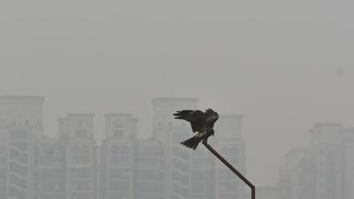 New Delhi, India - December 2, 2021: A thick layer of smog seen developing at Zakhira in New Delhi, India, on Thursday, December 2, 2021. (Photo by Sanchit Khanna/ Hindustan Times) (Sanchit Khanna/HT PHOTO) New Delhi, India - December 2, 2021: A thick layer of smog seen developing at Zakhira in New Delhi, India, on Thursday, December 2, 2021. (Photo by Sanchit Khanna/ Hindustan Times) (Sanchit Khanna/HT PHOTO)