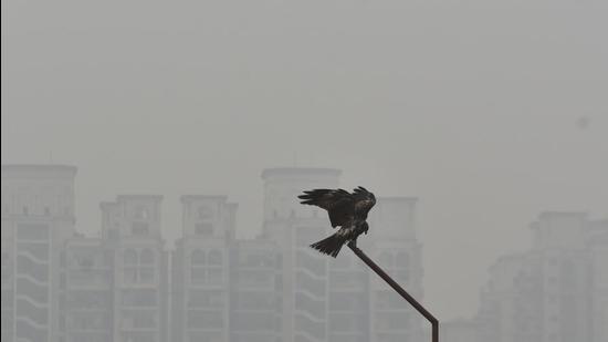 New Delhi, India - December 2, 2021: A thick layer of smog seen developing at Zakhira in New Delhi, India, on Thursday, December 2, 2021. (Photo by Sanchit Khanna/ Hindustan Times) (Sanchit Khanna/HT PHOTO)