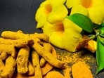 A team of researchers from the Indian Institute of Science Education and Research (IISER) Bhopal claim to have sequenced the genome of the turmeric plant for the first time in the world.(Unsplash) A team of researchers from the Indian Institute of Science Education and Research (IISER) Bhopal claim to have sequenced the genome of the turmeric plant for the first time in the world.(Unsplash)