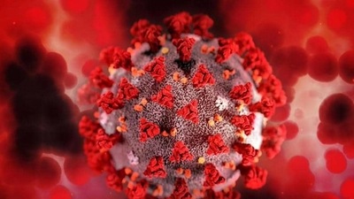 The WHO has been pushing for countries to hold off on boosters to make more vaccines available to poorer countries where inoculation rates are low. (Representational image) The WHO has been pushing for countries to hold off on boosters to make more vaccines available to poorer countries where inoculation rates are low. (Representational image)