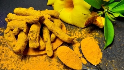 A team of researchers from the Indian Institute of Science Education and Research (IISER) Bhopal claim to have sequenced the genome of the turmeric plant for the first time in the world. (Unsplash) A team of researchers from the Indian Institute of Science Education and Research (IISER) Bhopal claim to have sequenced the genome of the turmeric plant for the first time in the world. (Unsplash)