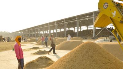 Pacs and VMs of Supaul emerged as the highest procurer of paddy with their stock crossing over 23,000MT. (Representational image) Pacs and VMs of Supaul emerged as the highest procurer of paddy with their stock crossing over 23,000MT. (Representational image)
