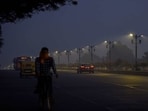 Delhi recorded 8.3 degrees Celsius on Friday night, the coldest yet of this season. (File Photo / PTI)