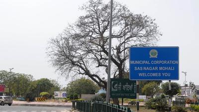 There are around 2.31 lakh voters in the Mohali assembly seat. (HT File)