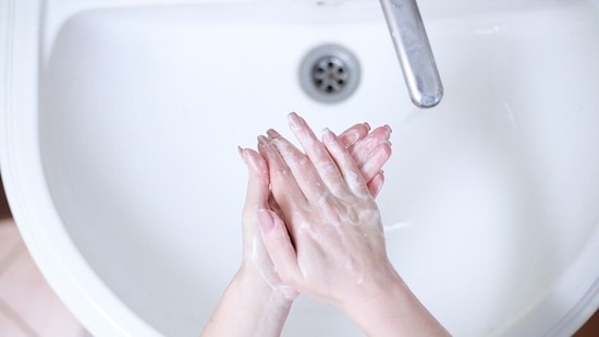 Wash hands: Avoid touching your mouth, nose, or eyes with dirty hands. Wash your hands from time to time.(Pixabay)