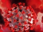 The new coronavirus variant Omicron has emerged in some countries, leading to concerns worldwide. (REPRESENTATIVE IMAGE ) The new coronavirus variant Omicron has emerged in some countries, leading to concerns worldwide. (REPRESENTATIVE IMAGE )