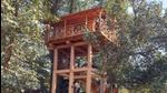 The tree house in Fato range of forests in Kumaon district of Uttarakhand. (HT PHOTO.)