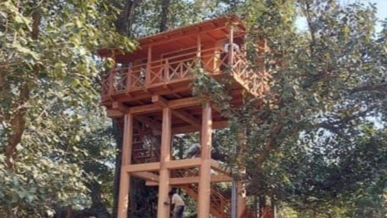 Uttarakhand's first ever tree house to welcome tourists in Kumaon ...