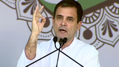Rahul Gandhi has purportedly told Sanjay Raut that the Congress has done a lot for its elders.&nbsp; (ANI)