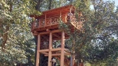 The tree house in Fato range of forests in Kumaon district of Uttarakhand. (HT PHOTO.)