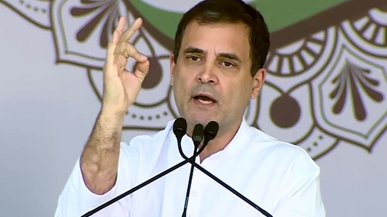 Rahul Gandhi has purportedly told Sanjay Raut that the Congress has done a lot for its elders.&nbsp;(ANI)