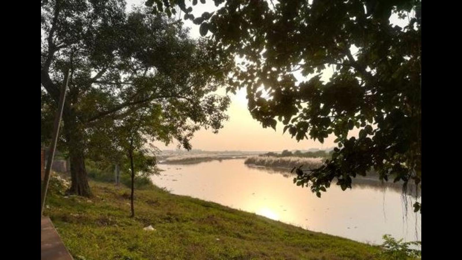 Reminiscing moments of nature’s bounty Hindustan Times