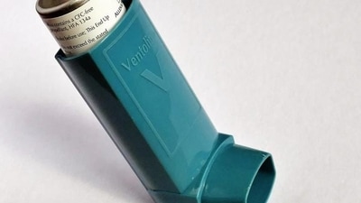 Asthma has become a matter of concern for Americans as every day, ten Americans die from the attack. (Pixabay) Asthma has become a matter of concern for Americans as every day, ten Americans die from the attack. (Pixabay)