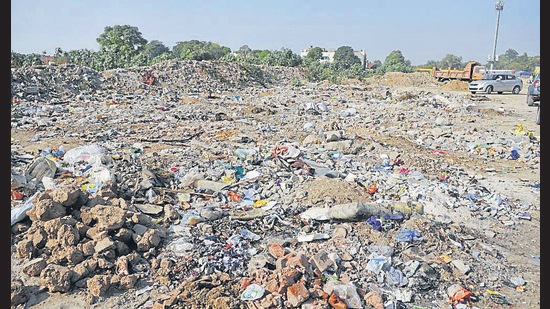 Garbage dumped on one of the vacant plots in Sector 45. (Keshav Singh/HT)