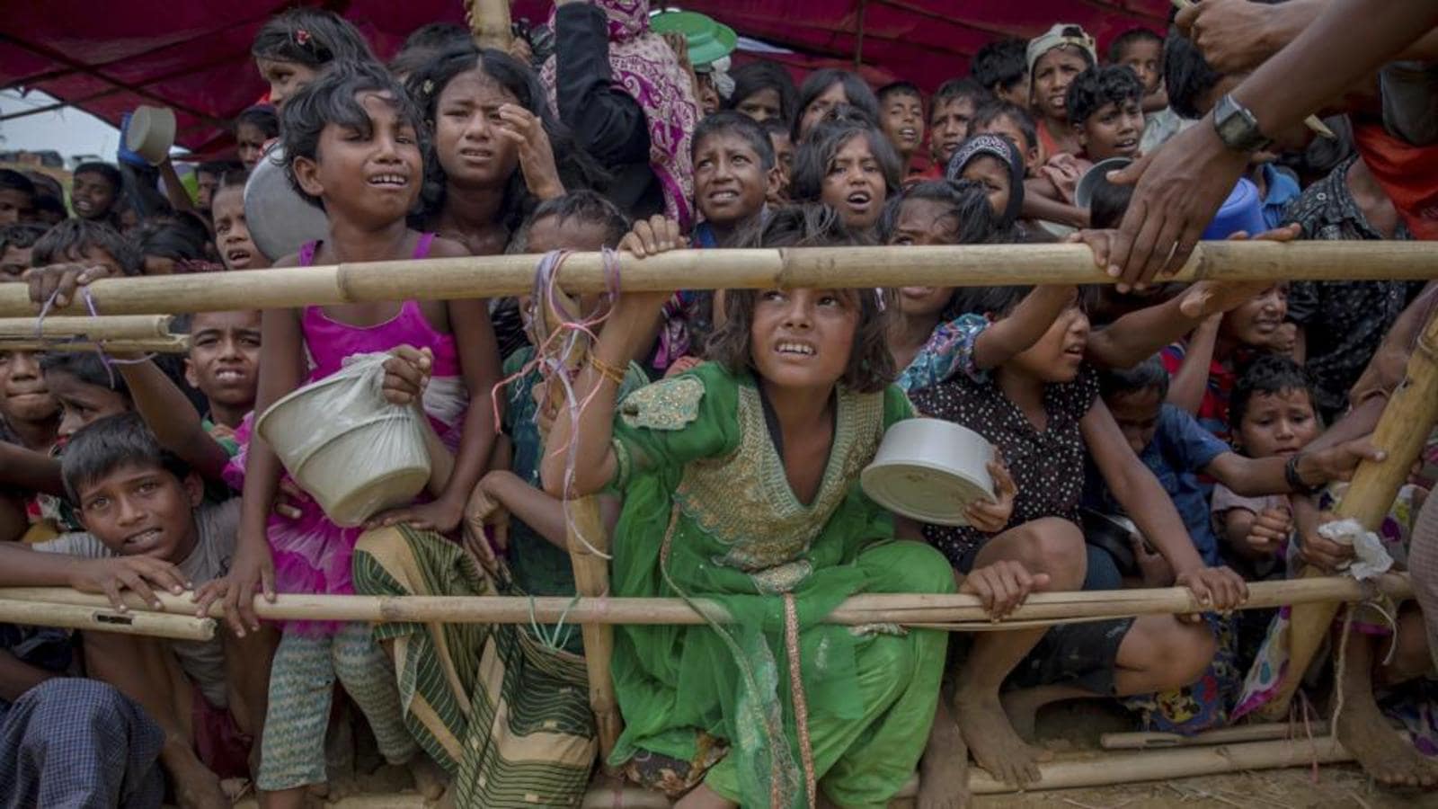 India police arrest 74 Rohingya refugees in latest crackdown, Rohingya  News