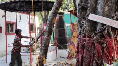 Environment activists and Area Sabha Association of Pune, Green Pune movement hold silent protest on Tuesday after six fully grown trees were cut down on temple premises in Pune. (HT) Environment activists and Area Sabha Association of Pune, Green Pune movement hold silent protest on Tuesday after six fully grown trees were cut down on temple premises in Pune. (HT)
