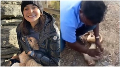 Anushka Sharma shared the video.