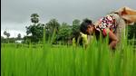 Official data from the ministry of commerce show that agriculture exports from India registered a sharp increase of nearly 25% in 2020-21 over the previous year (Praful Gangurde) Official data from the ministry of commerce show that agriculture exports from India registered a sharp increase of nearly 25% in 2020-21 over the previous year (Praful Gangurde)