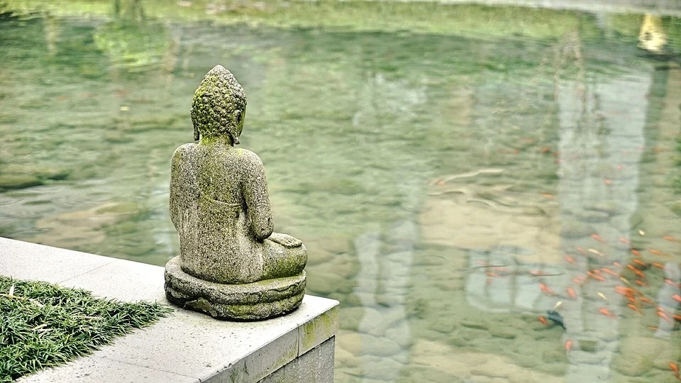 Meditation, a Yoga technique, not only helps you connect with your inner self, it also reduces anxiety, improve positive feelings, sleep and even your digestive health. (Pixabay)
