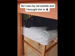 The image shows the cat that the woman brought inside taking a nap.(Instagram/@nieves_mh)