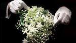A representational image. (Archives) A representational image. (Archives)