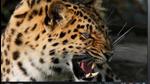 A representational image. (Archives) A representational image. (Archives)