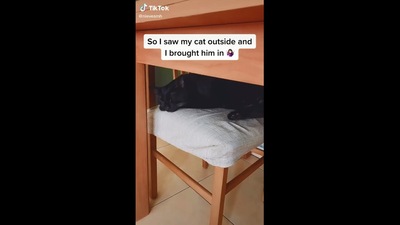 The image shows the cat that the woman brought inside taking a nap. (Instagram/@nieves_mh)