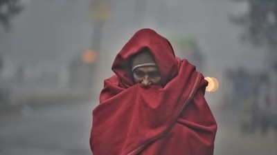 Are you feeling too cold in winter? Then it is possible that you are prone to these illnesses. (Hindustan Times) Are you feeling too cold in winter? Then it is possible that you are prone to these illnesses. (Hindustan Times)