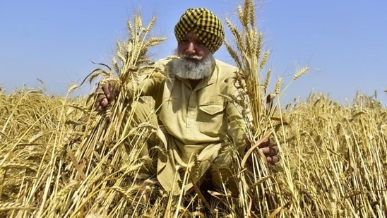 Dietary diversity was measured using a modified version of the FAO Minimum Dietary Diversity score for women, which has been used in representative samples of the Indian population in both men and women. Eight food groups were included: (1) starchy staples (rice, wheat, and potatoes), (2) pulses, (3) nuts, (4) vegetables, (5) fruits, (6) dairy, (7) eggs, and (8) fleshy foods (meat, poultry, and fish).