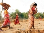 We have been the best performer in delivering Mahatma Gandhi National Rural Employment Guarantee Scheme jobs and more than four million families benefited from it(Reuters) We have been the best performer in delivering Mahatma Gandhi National Rural Employment Guarantee Scheme jobs and more than four million families benefited from it(Reuters)