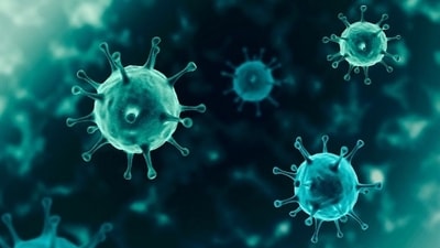 Trained by both vaccines and infection, antibodies grab on to the spike protein that studs the surface of the coronavirus, stopping it from penetrating cells and sickening the host. (Representational Image) Trained by both vaccines and infection, antibodies grab on to the spike protein that studs the surface of the coronavirus, stopping it from penetrating cells and sickening the host. (Representational Image)