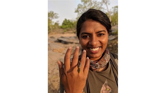 Sangita Mani with a non-venomous buff-striped keelback. A naturalist with Taj Safaris, Mani, 39, is based in the Kanha National Park in Madhya Pradesh and is responsible for planning customised tours and nature walks for guests of Taj hotels.(Photo by Narayana)