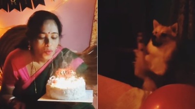 The split image shows the dog trying to clap at a woman's birthday celebration. (Facebook/@Arunimaa) The split image shows the dog trying to clap at a woman's birthday celebration. (Facebook/@Arunimaa)