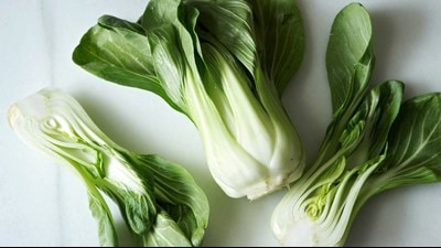 Exotic vegetables like bok choy, lettuce, zucchini will soon be available in markets in Lucknow (Pic for representation)