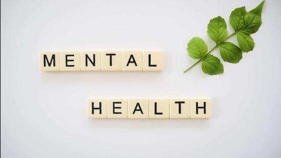 Maharashtra forms eight mental health review boards (HT File)
