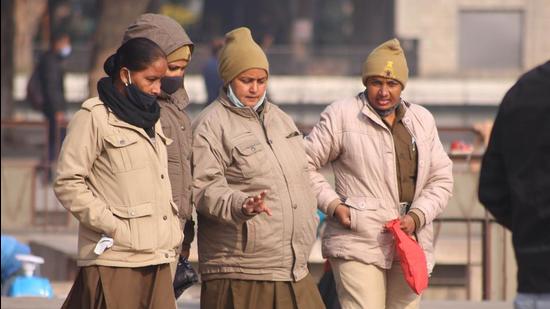 As per IMD officials, the maximum temperature in Chandigarh is likely to rise in the coming days while minimum temperature may fall by two to three degrees leading to cold wave conditions. (HT Photo)
