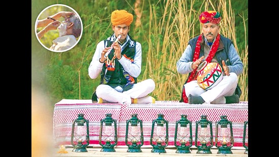 Journey: A weekend in Ranthambore 65 acd13e54 5f29 11ec a699 ff3e8015d447 1639850723853