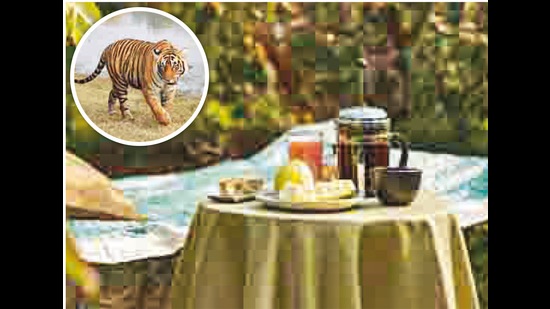 Journey: A weekend in Ranthambore 67 e489839c 5f29 11ec a699 ff3e8015d447 1639850730535