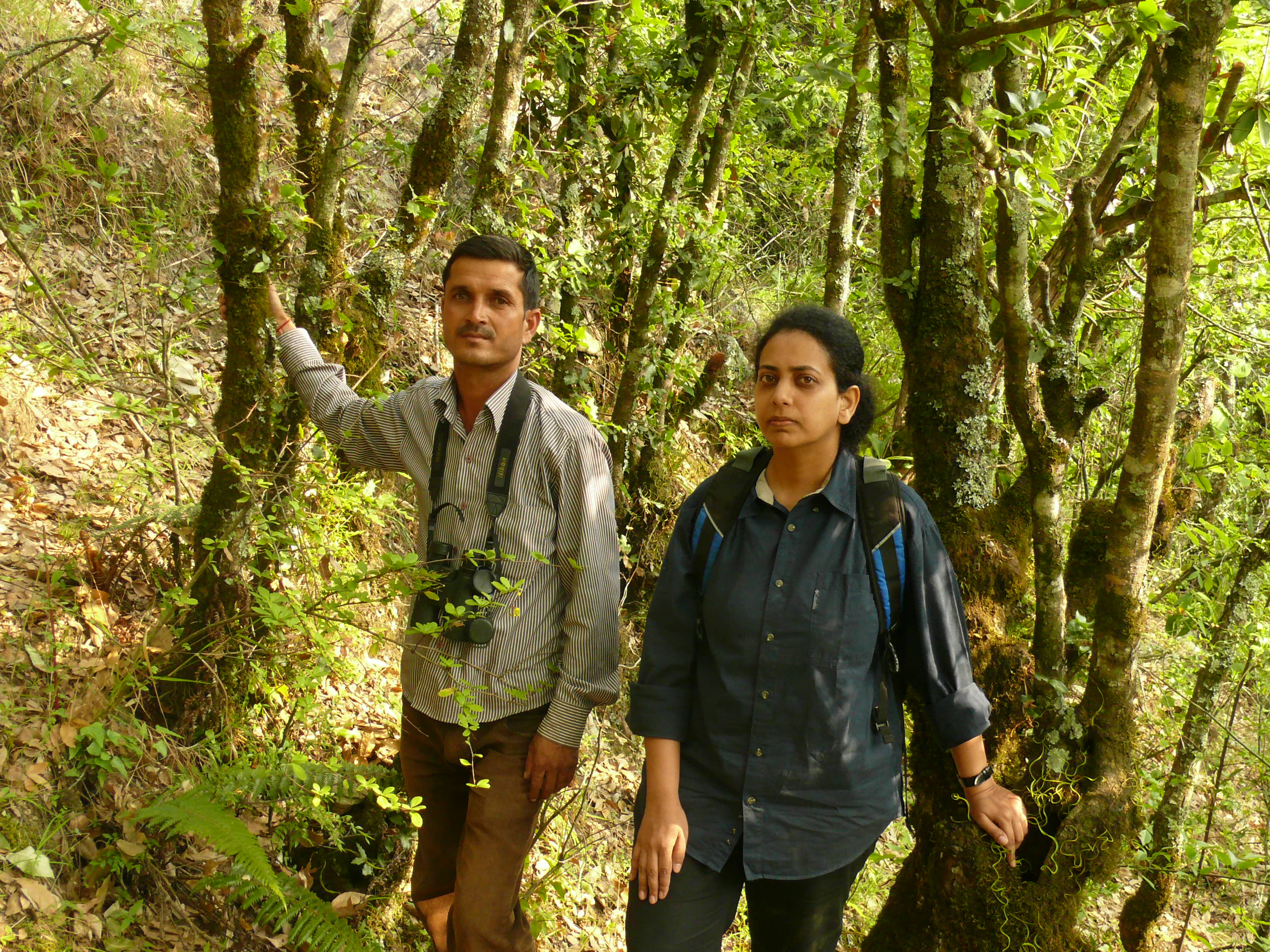 ‘Because places like the western Himalayas have hardly any ecological studies, scientists don’t know enough about these fragile forests to adequately plan for the mounting threats they now face,’ Shahabuddin says. ‘Because places like the western Himalayas have hardly any ecological studies, scientists don’t know enough about these fragile forests to adequately plan for the mounting threats they now face,’ Shahabuddin says.