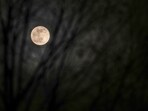 A full moon glows through tree branches and behind clouds Sunday, Dec. 19, 2021, in Hokkaido, Japan. (AP Photo/Kiichiro Sato)