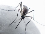 An array of post Covid complications affected several people including children while mosquito-borne diseases like dengue and chikangunya saw an upward trend this year (Satish Bate/HT PHOTO)