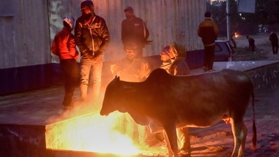 A bonfire on Saturday which was the first coldest day of this season.&nbsp; (PTI)